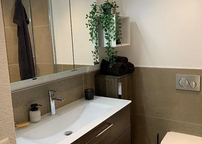 Wef 2027 Ferienwohnung, 3 Minuten Fussweg Zum Kongresshaus, Geeignet Fuer 2 Personen *