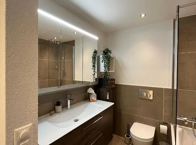 Wef 2027 Ferienwohnung, 3 Minuten Fussweg Zum Kongresshaus, Geeignet Fuer 2 Personen 达沃斯